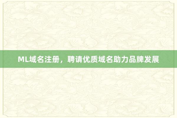 ML域名注册，聘请优质域名助力品牌发展
