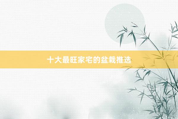 十大最旺家宅的盆栽推选